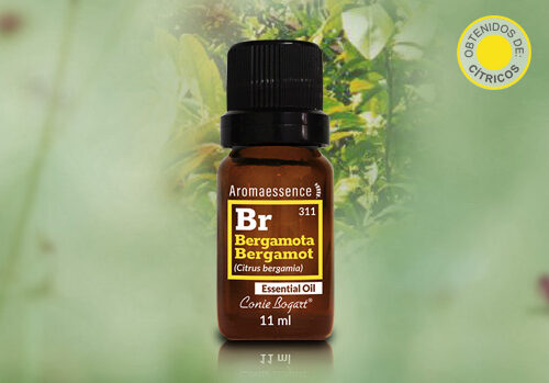 Aceites Esenciales: Hierbas | Hojas de Arbol y Plantas - Connies Bogart